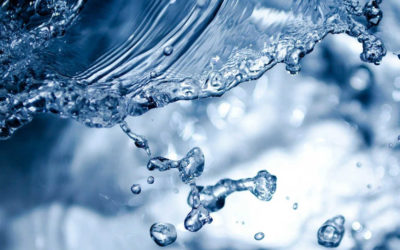 Das Wasser – Lebenselixier und Wunder zugleich