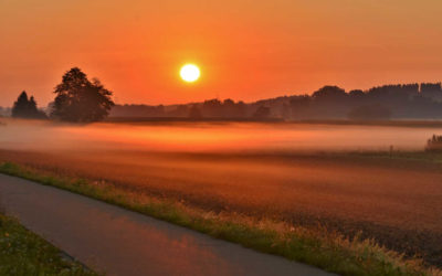 Licht, Sonnenlicht & Biophotonen